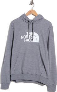 The North Face Evolution Half Dome Regular Hoodie