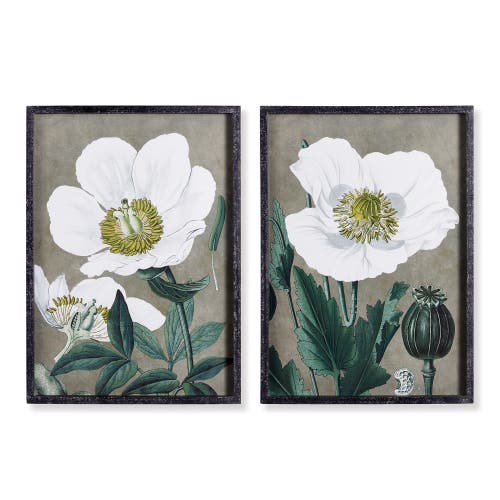Napa Home & Garden 19.75" x 27.5" Stunning Poppy Floral Flower Art Prints in Fir Wood Frame w/ Glass Pane Set of 2 in Grey  product