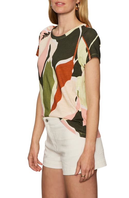 Sanctuary The Perfect T-shirt In Multi