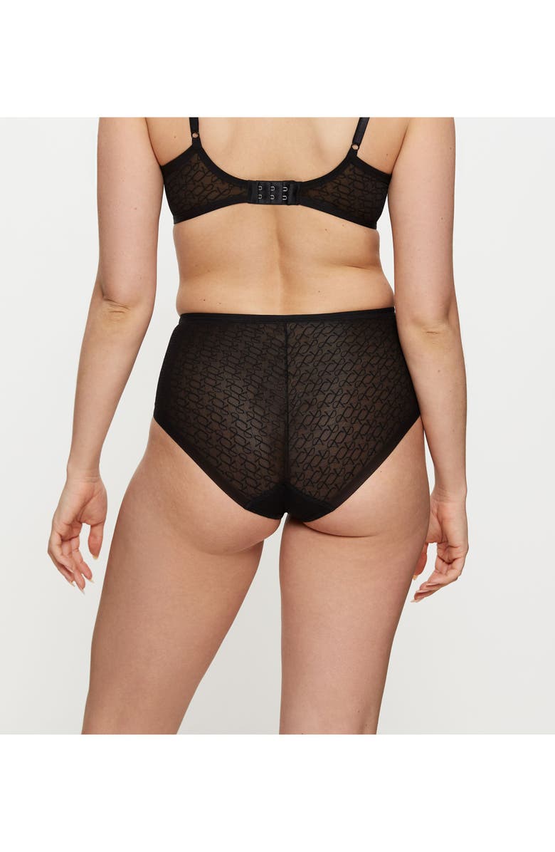 TRIUMPH Signature Sheer Brief Panties, Alternate, color, Black