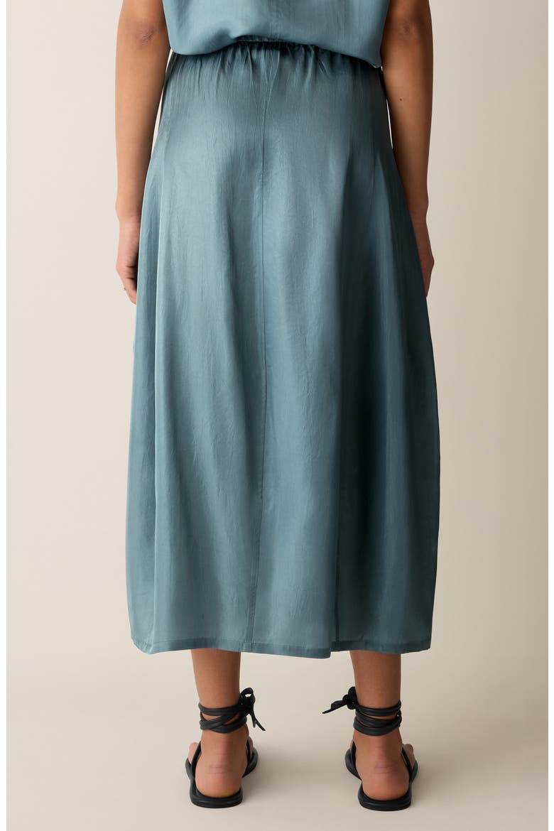 Lantern Maxi Skirt, Alternate, color, NILE