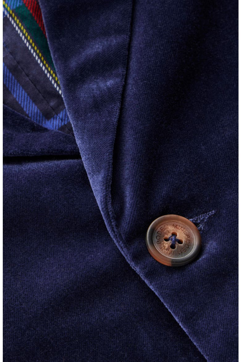 Kids' Velvet Blazer, Alternate, color, COLLEGE NAVY