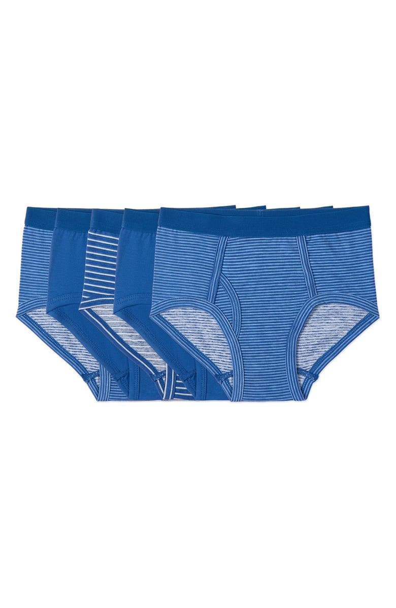 MeMoi 5 Pair Out Of The Blue Rich Briefs, Main, color, Blue Multi
