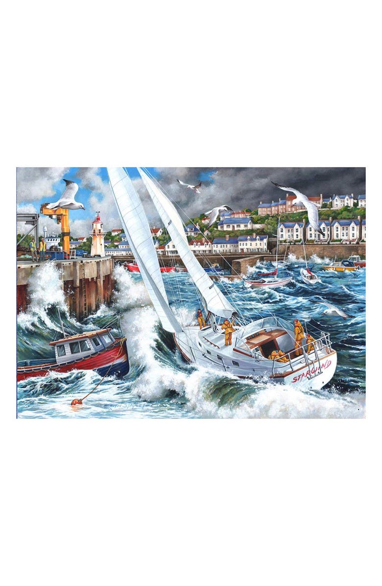 The House of Puzzles Storm Chased 500-Piece Jigsaw Puzzle, Alternate, color, 