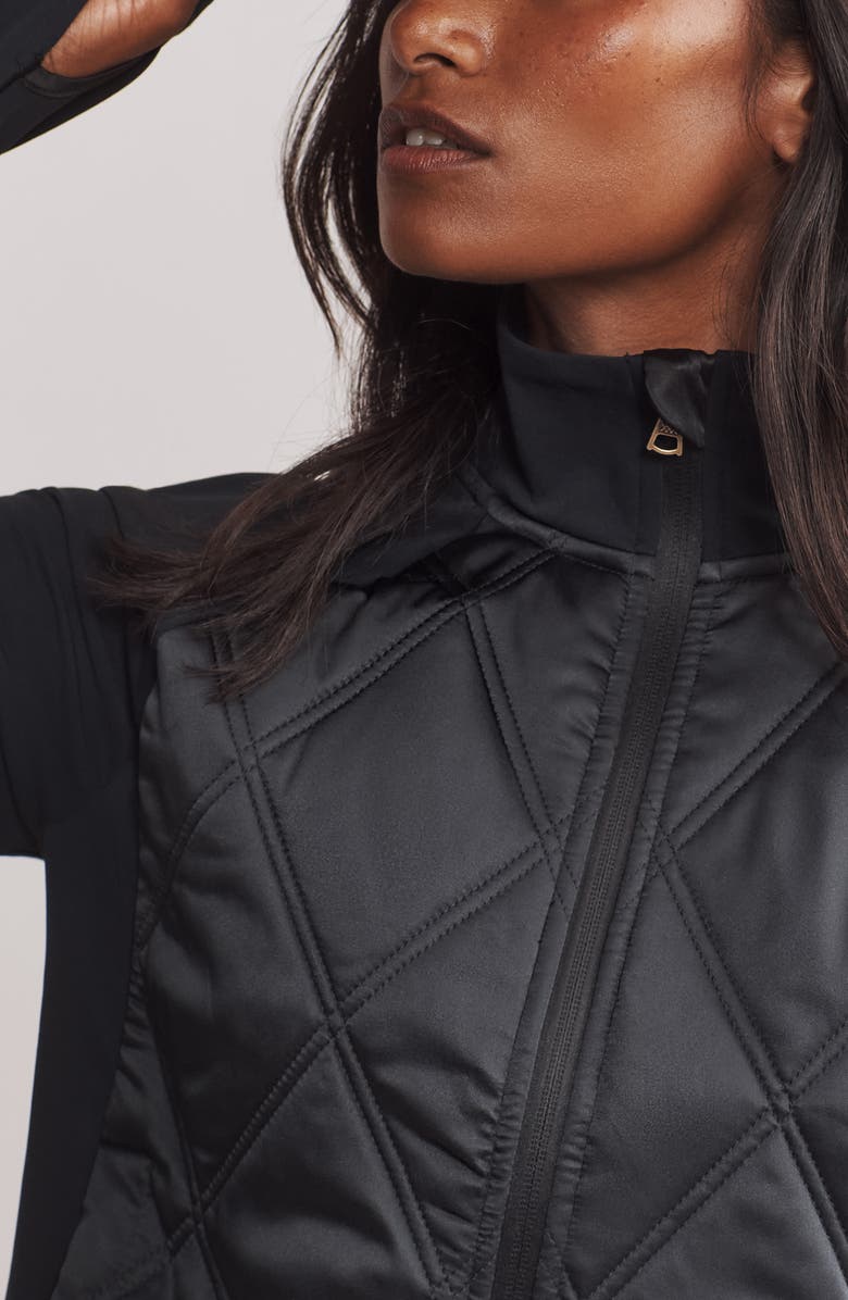 Rhone Alpine Insulated Active Jacket, Alternate, color, 