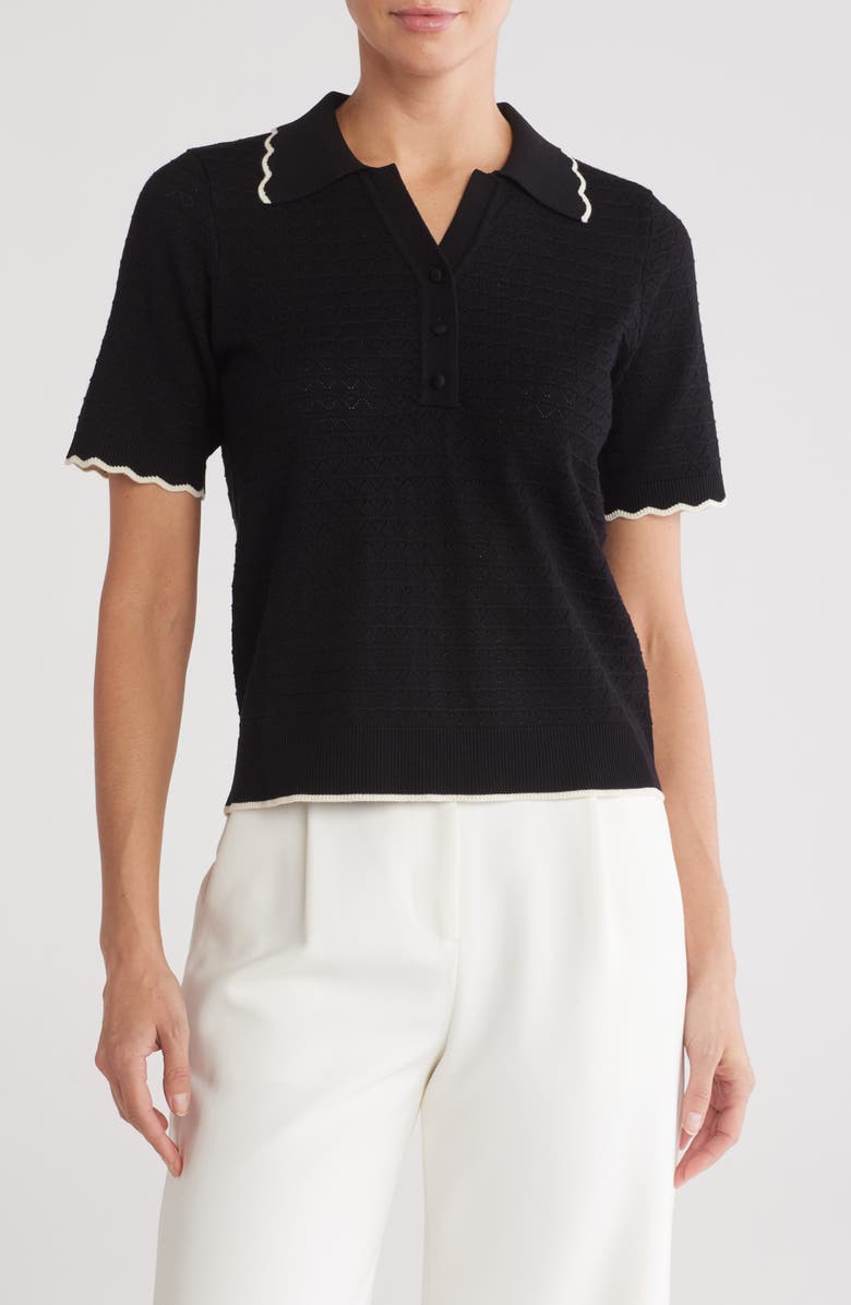 Adrianna Papell Pointelle Polo, Main, color,