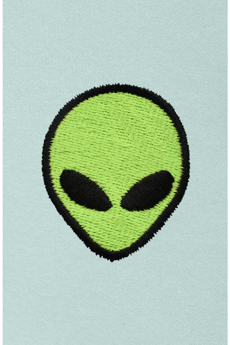 Alien All Day Hoodie, Alternate, color, Sea Foam