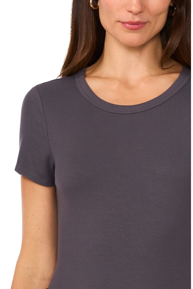 Rib Knit Jersey T-Shirt, Alternate, color, MAGNET