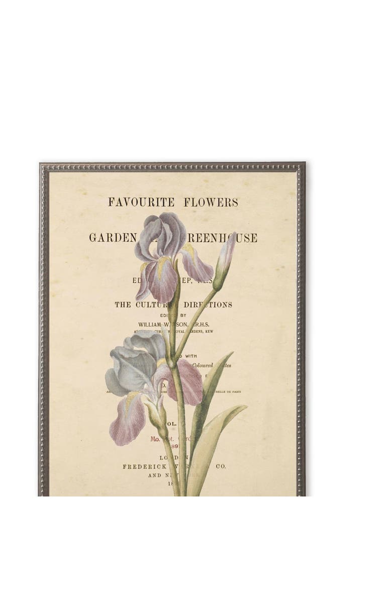 Antique Curiosities Purple Flower on Book Page in Silver-Beaded Frame, Main, color, Multi