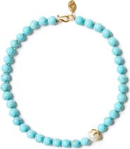 Chan Luu Turquoise Bead Lark Necklace