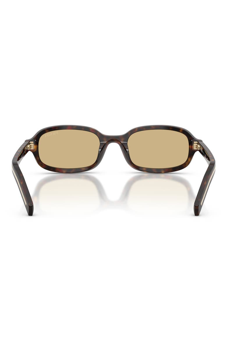 52mm Oval Sunglasses, Alternate, color, ROOT TORTOISE / LIGHT BROWN