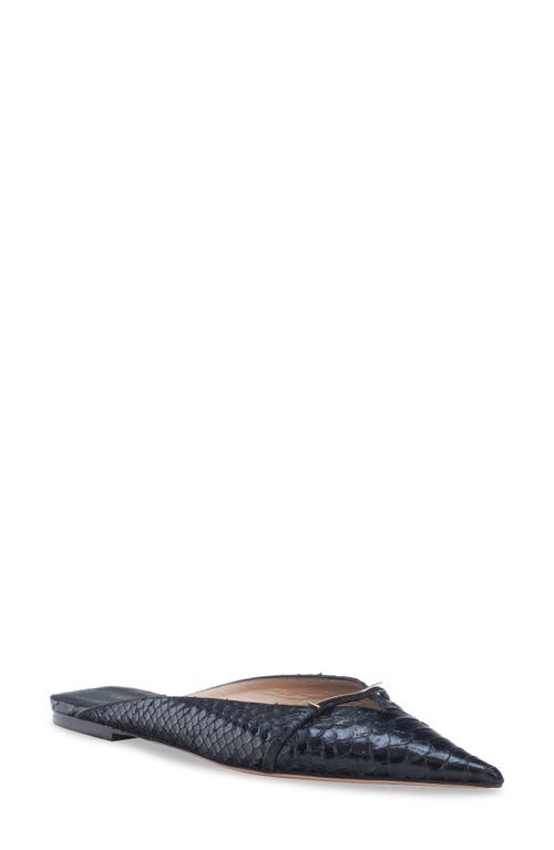 Tom Ford Python Embossed Pointed Toe Mule In Black
