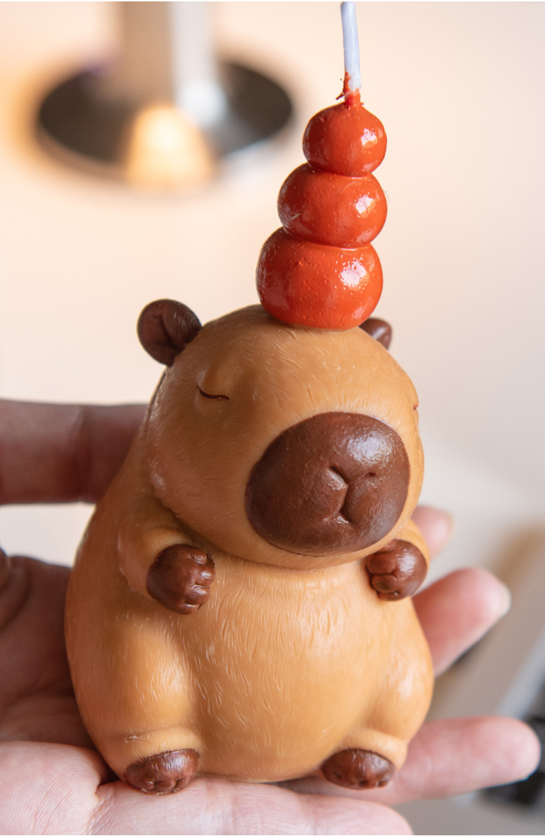 Southlake gifts Capybara Scented Aromatherapy Candle, Alternate, color, NO COLOR