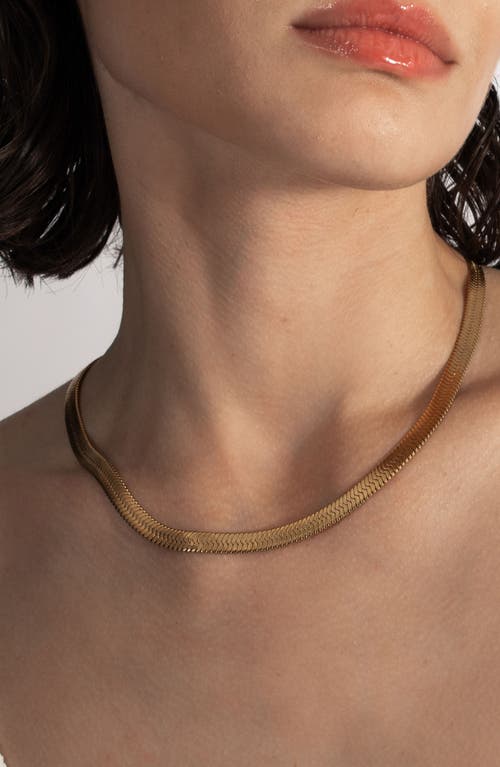St. Moran Celine Lariat Necklace In Gold