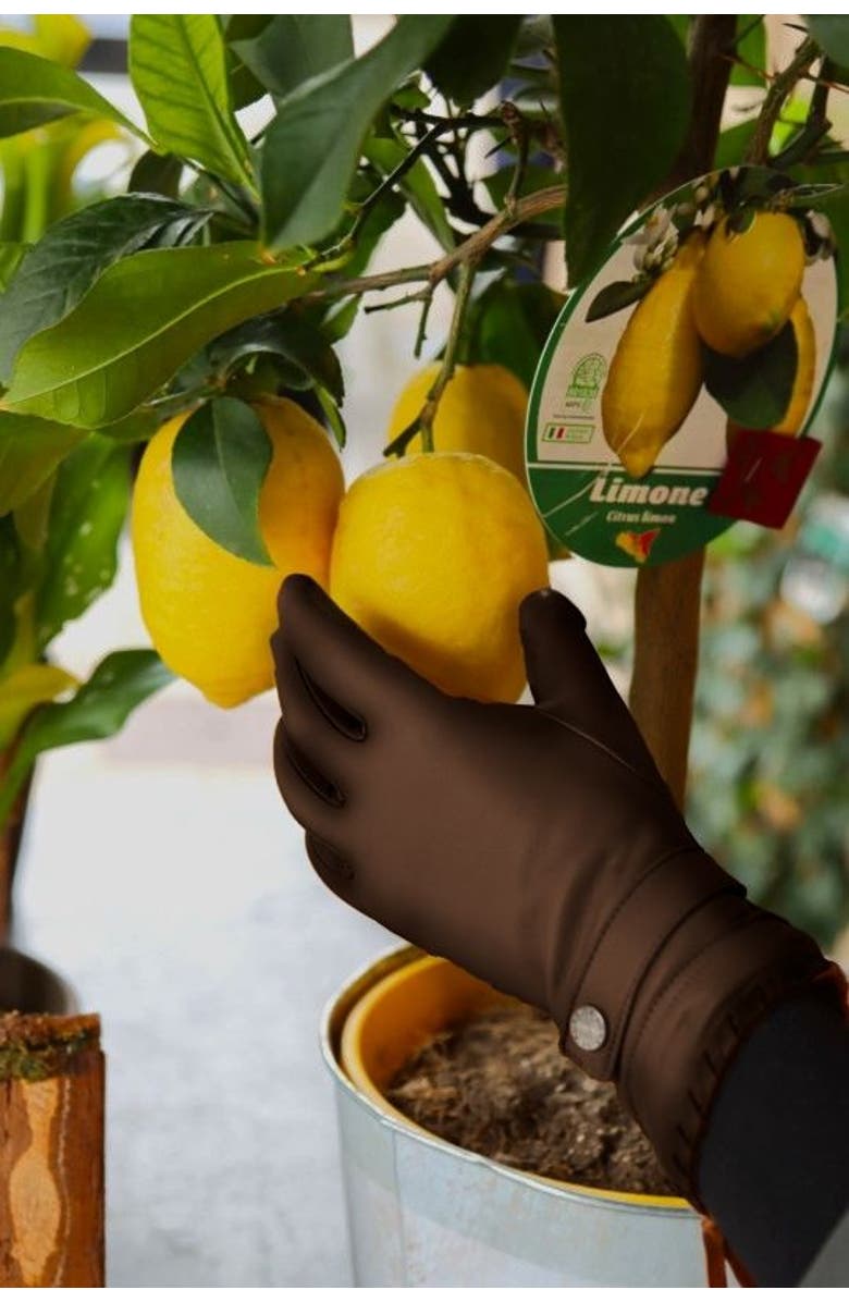 Agnelle Dallas Cashmere Lined Lambskin Glove with Corset Lacing, Alternate, color, Whisky Patine