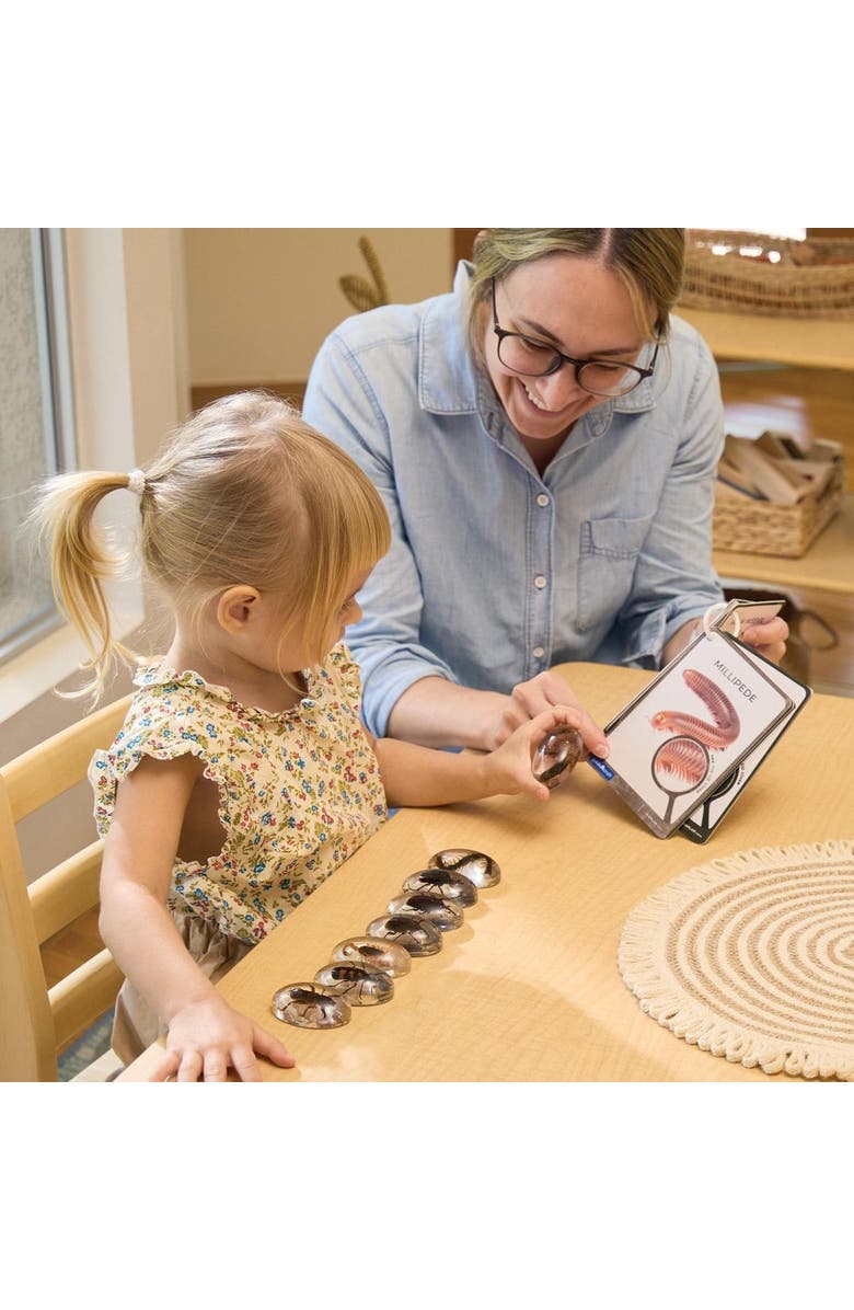 Kaplan Early Learning Company Specimen Stones Creepy Crawlers - 9 Stones, Alternate, color, Multicolored