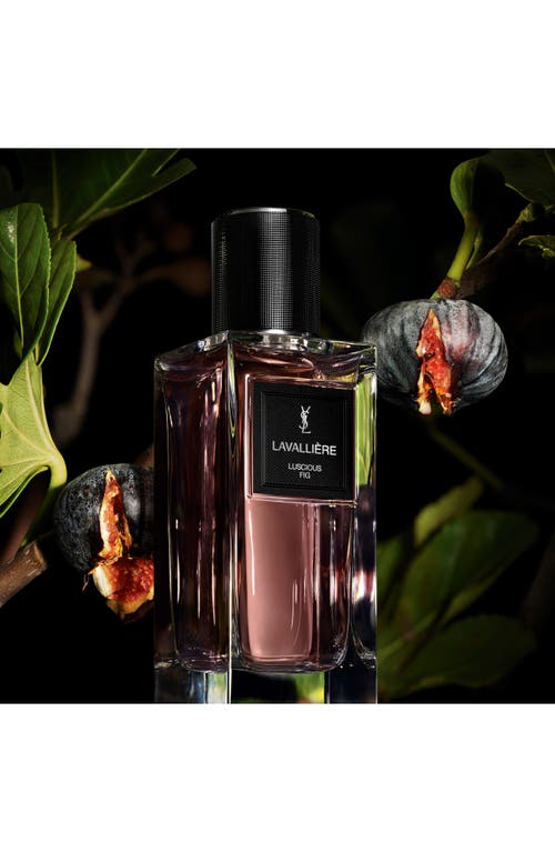 Saint Laurent Yves Lavallière In Transparent