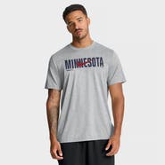 Nike Men's Nike Heather Gray Minnesota Twins Swoosh Legend Dri-FIT T-Shirt