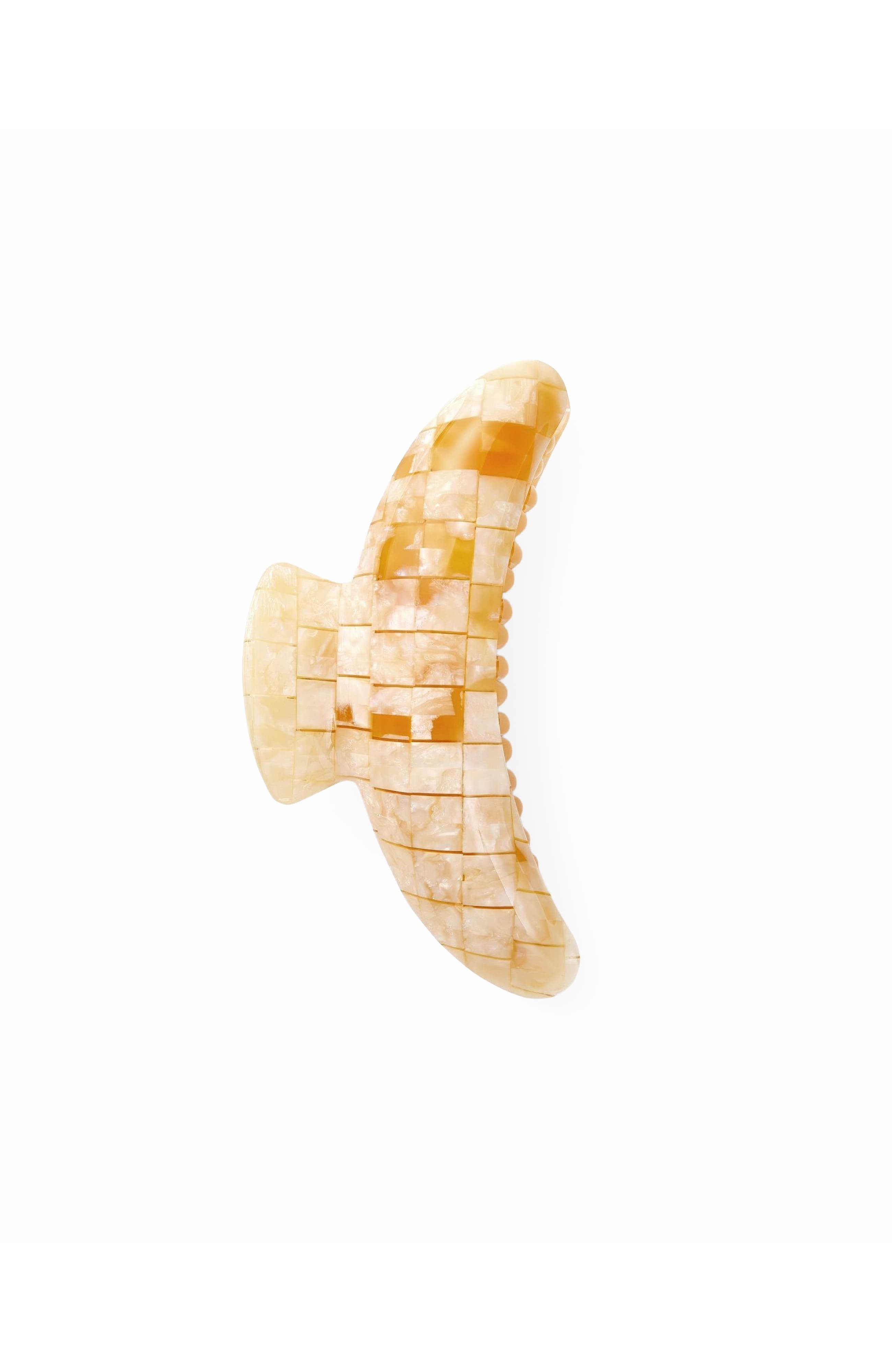 selected Sea Shell Checker