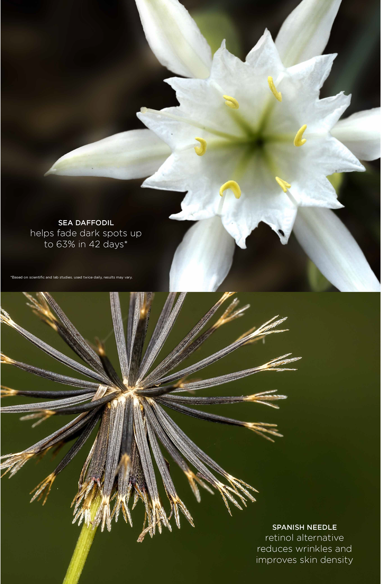 Intelligent Nutrients Vitalisea Time Traveler Serum, Alternate, color, NO COLOR