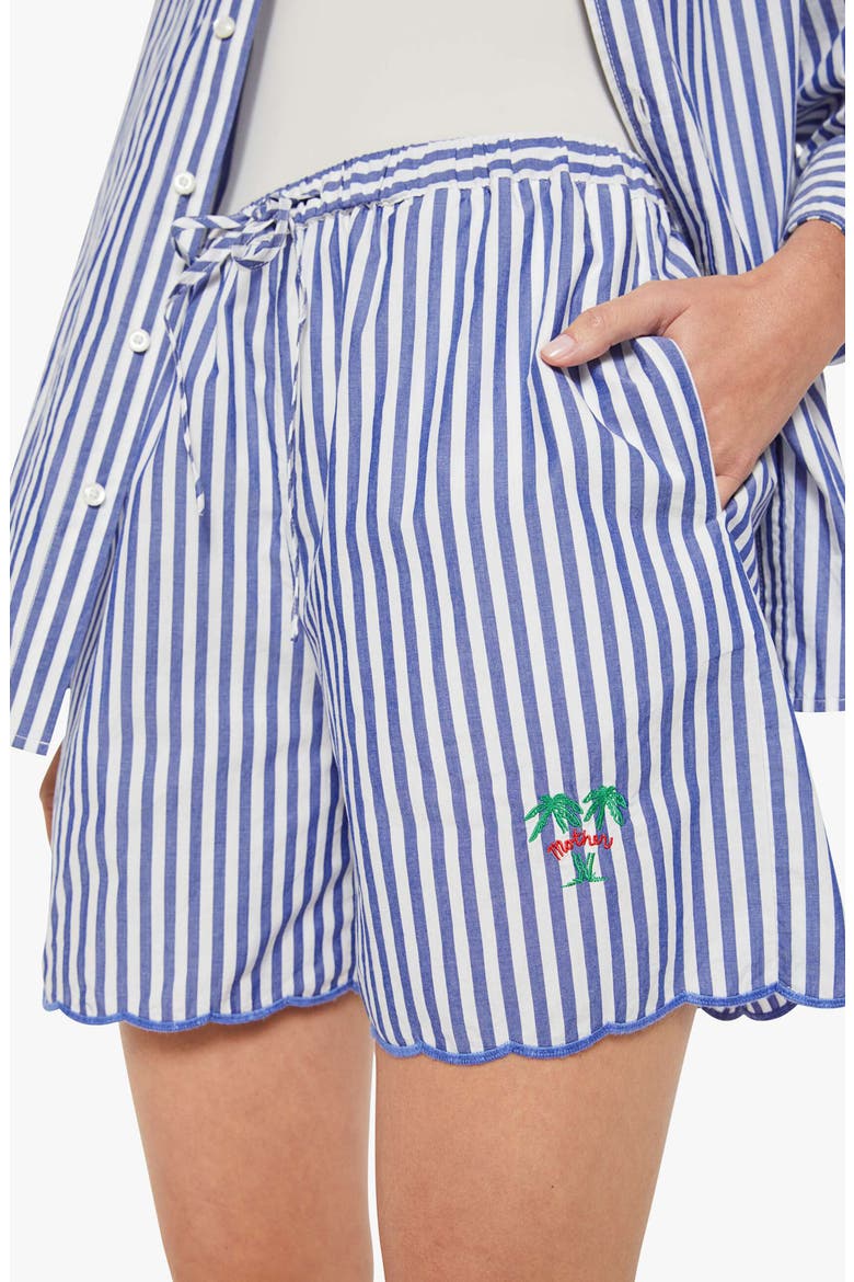 The Drawn Freeballer Stripe Cotton Shorts, Alternate, color, WHITE AND BLUE STRIPE