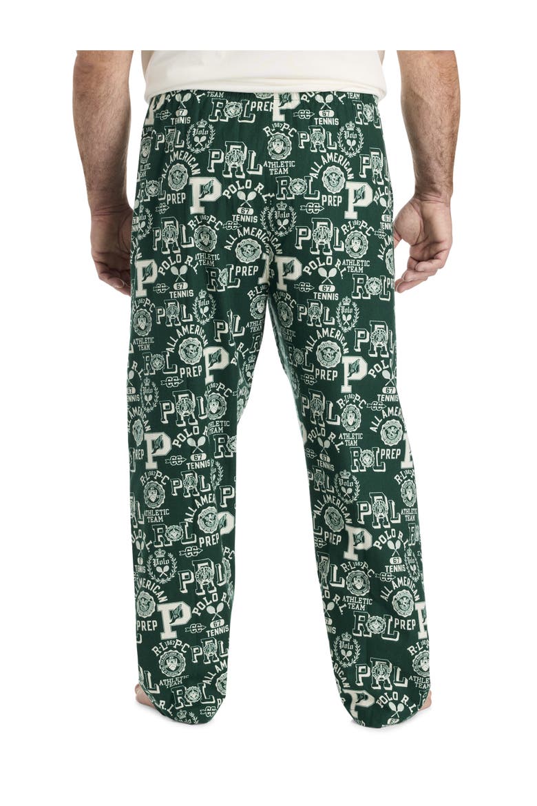 Big & Tall Printed Lounge Pants, Alternate, color, GREEN