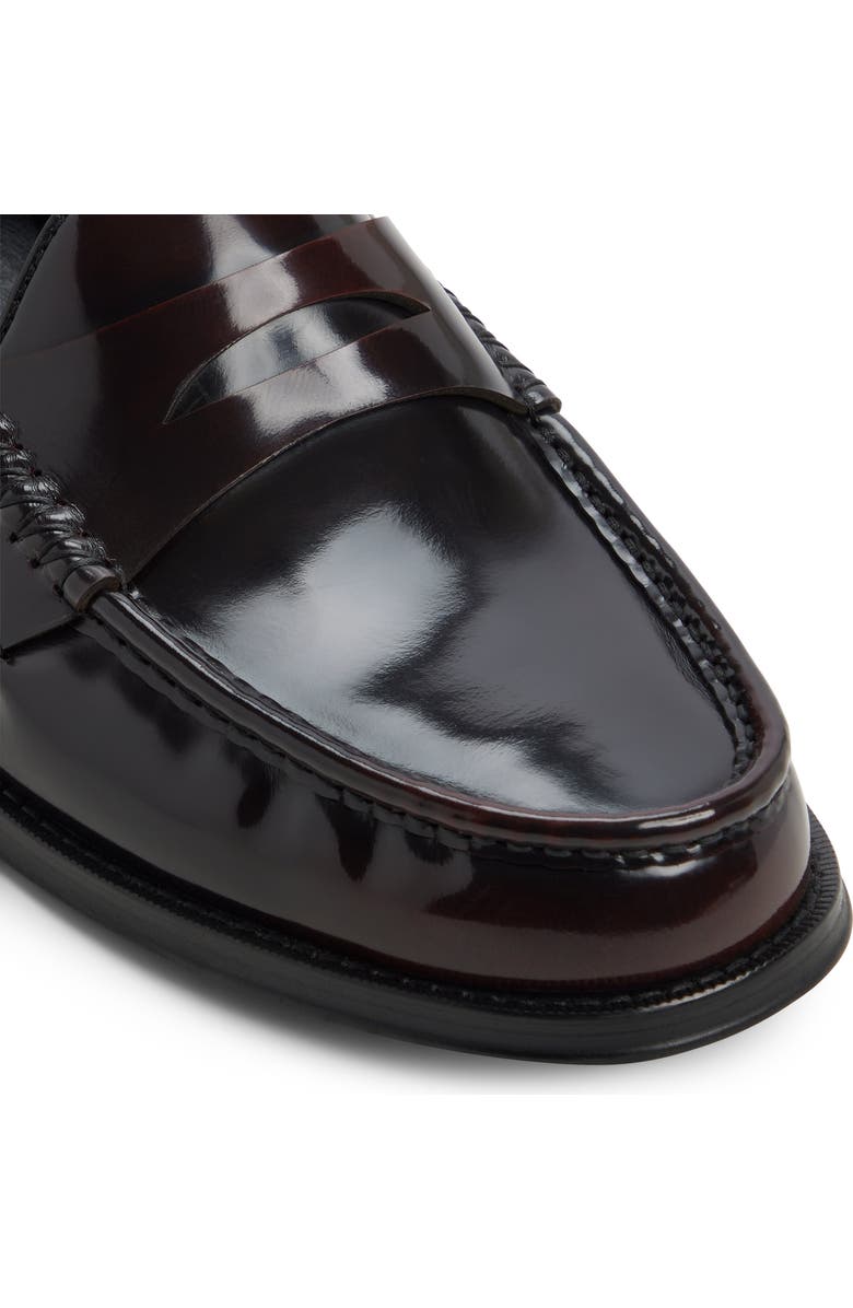 ALDO Ludovik Penny Loafer, Alternate, color,