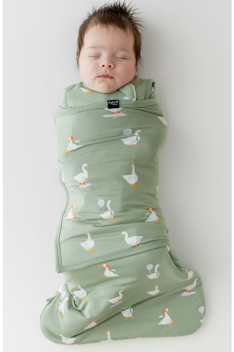 Sleep Bag Swaddler, Alternate, color, SILLY GOOSE