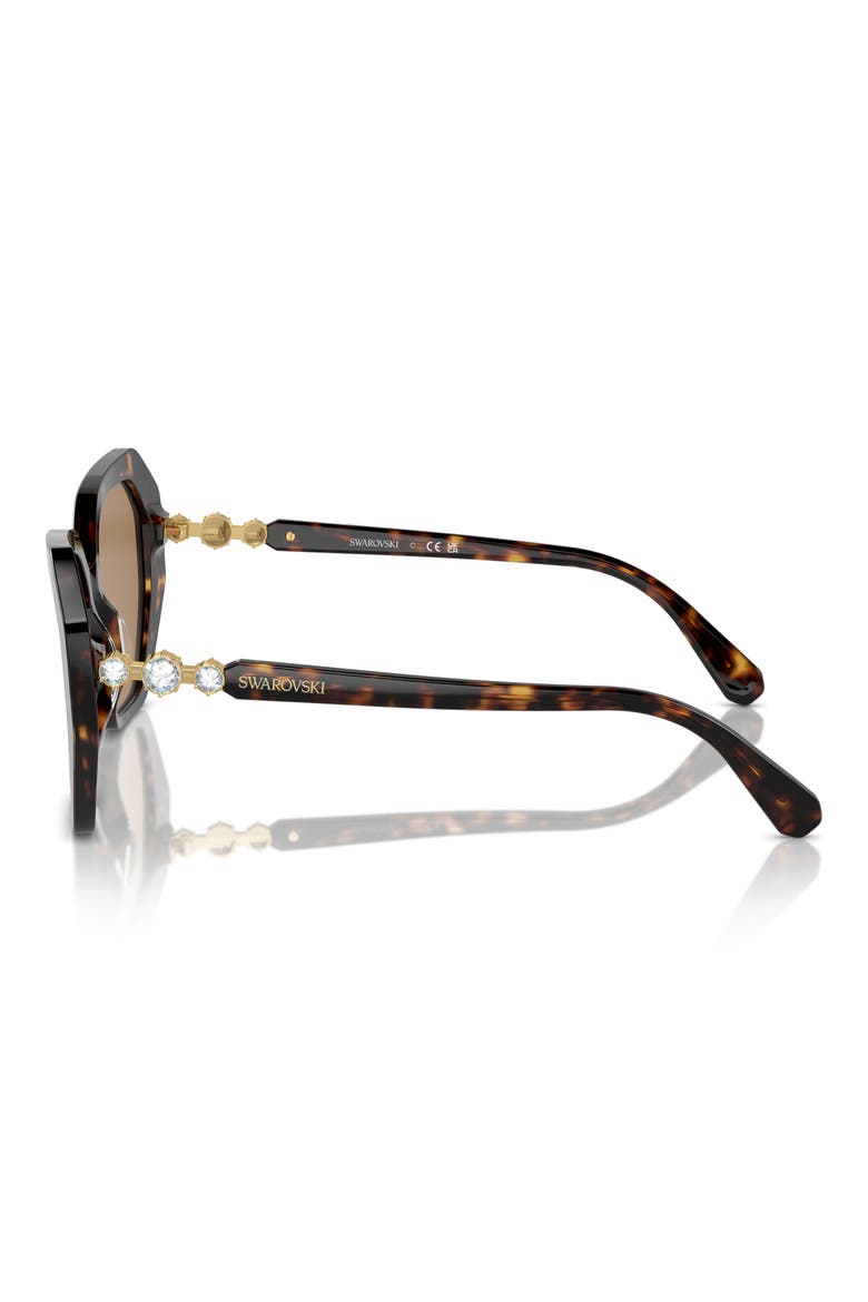 56mm Constella Round Sunglasses, Alternate, color, DARK HAVANA