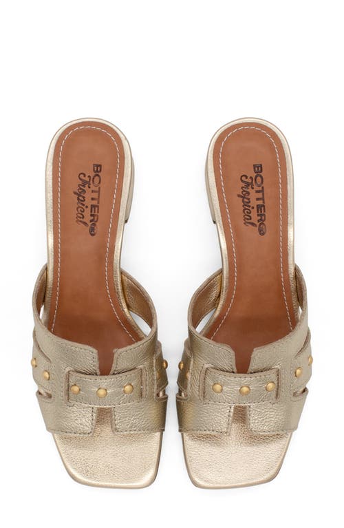 Bottero Studded Leather Slide Sandal