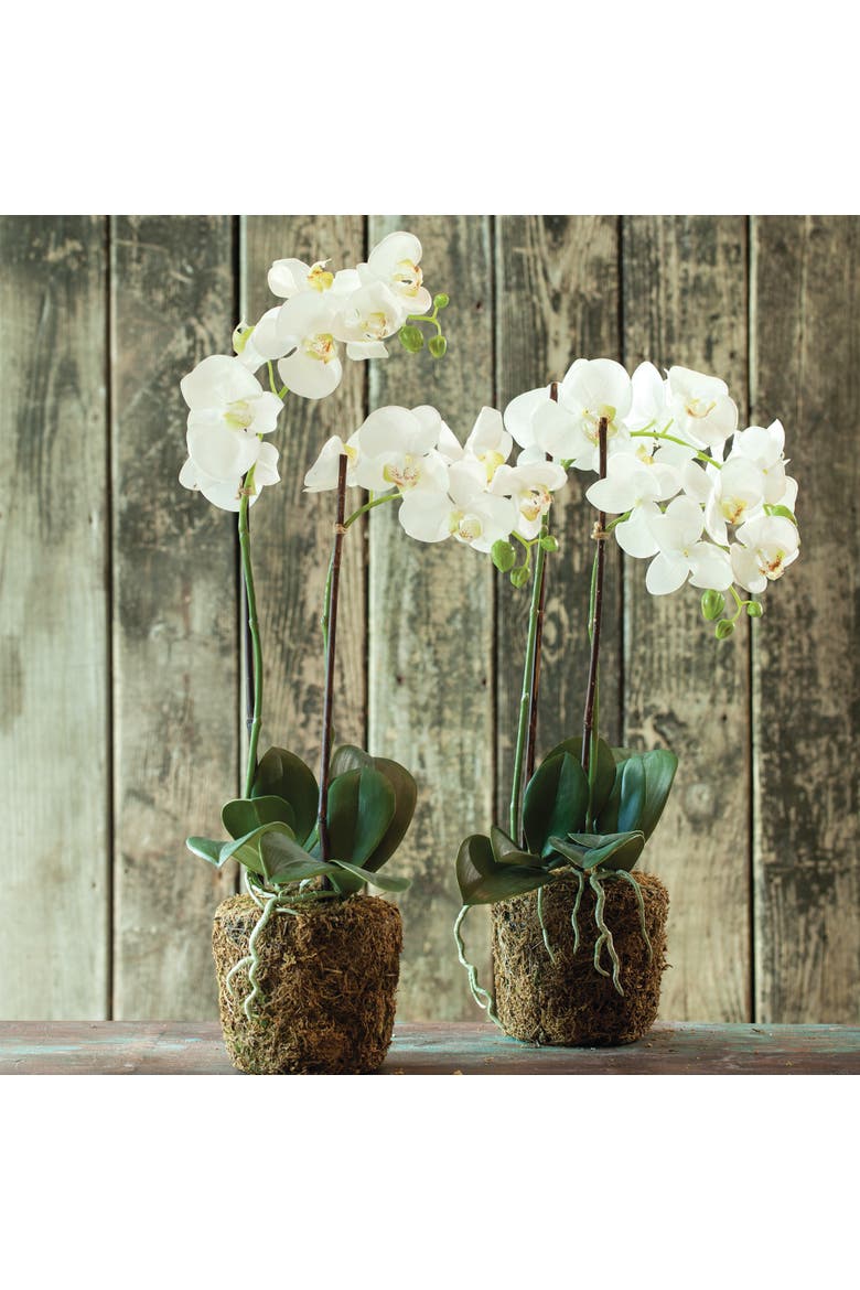 23" Phalaenopsis Orchid Drop-In Flower Floral Plant Root Ball Tabletop Decor, Alternate, color, White
