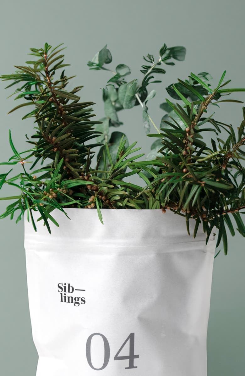 SIBLINGS No 04 Balsam Refillable Candle, Alternate, color, Eucalytpus Balsam