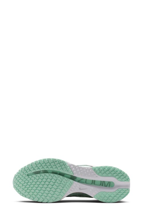 Nike Pegasus Premium Running Shoe In Multi