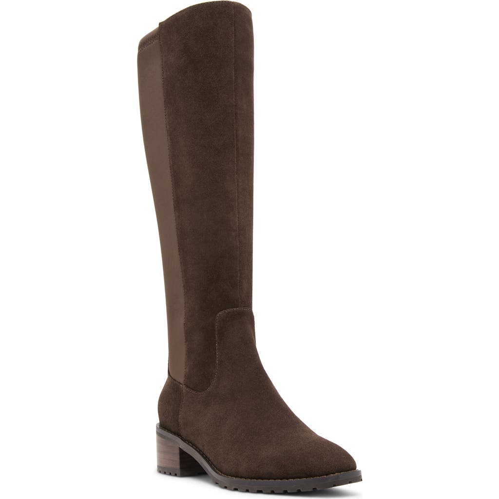 Blondo Sandy Waterproof Knee High Boot In Brown