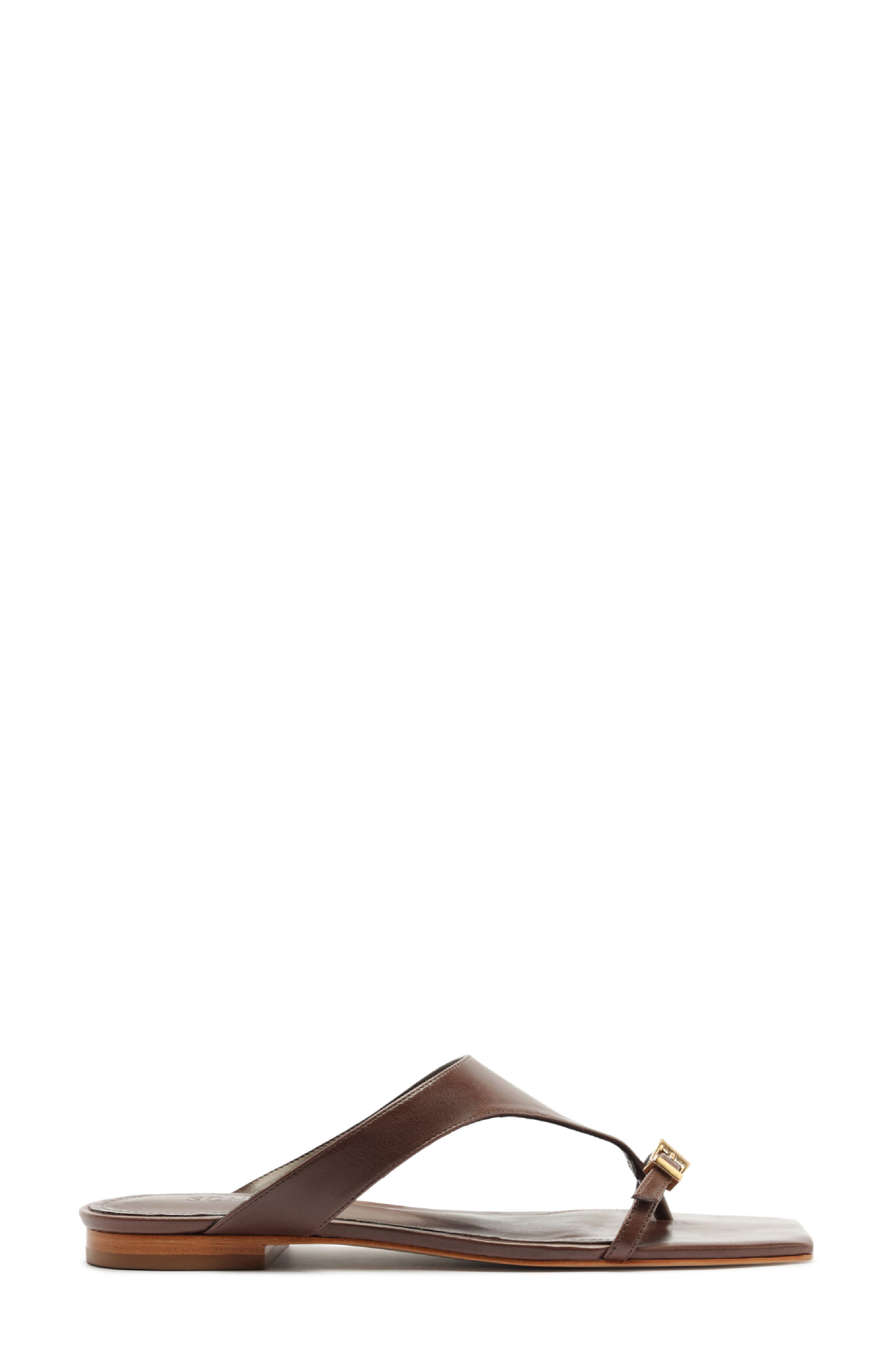 Schutz Tana Flat Flip-Flop, Alternate, color, Root Brown