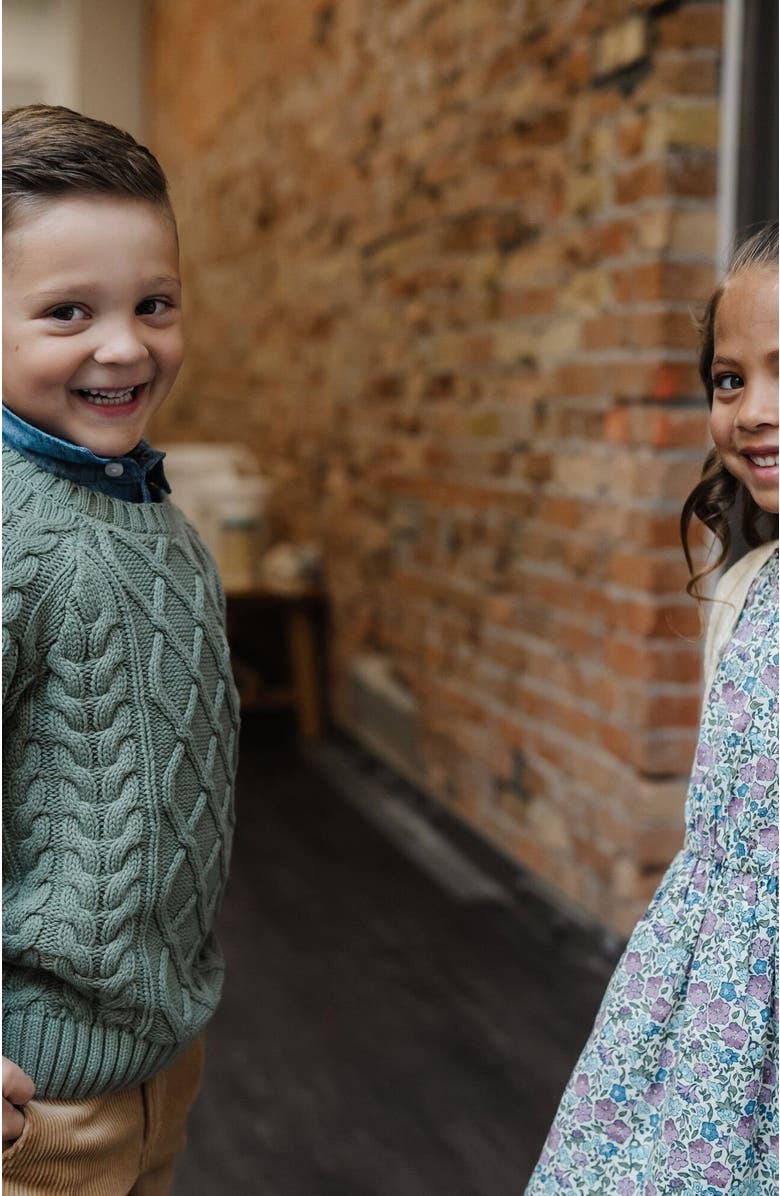 Hope & Henry Boys' Organic Raglan Fisherman Sweater, Kids, Alternate, color, 