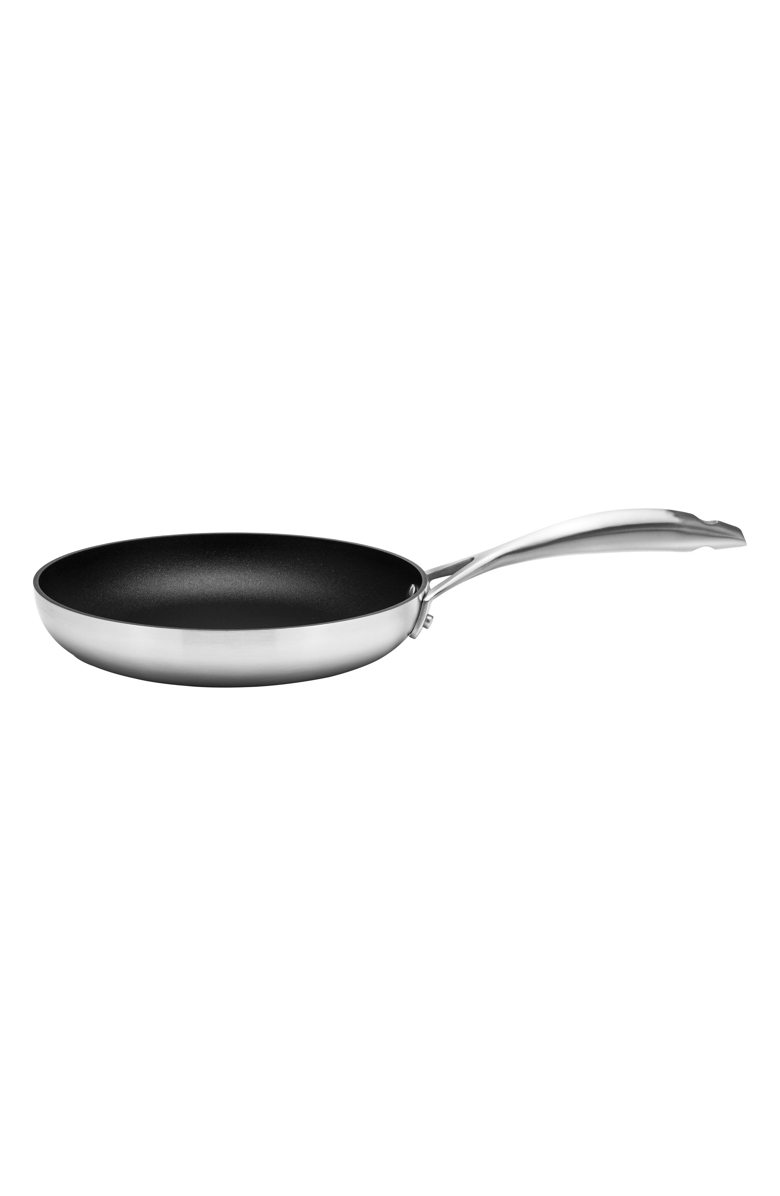 Scanpan Cs+ 9.5-inch Nonstick Fry Pan In Silver