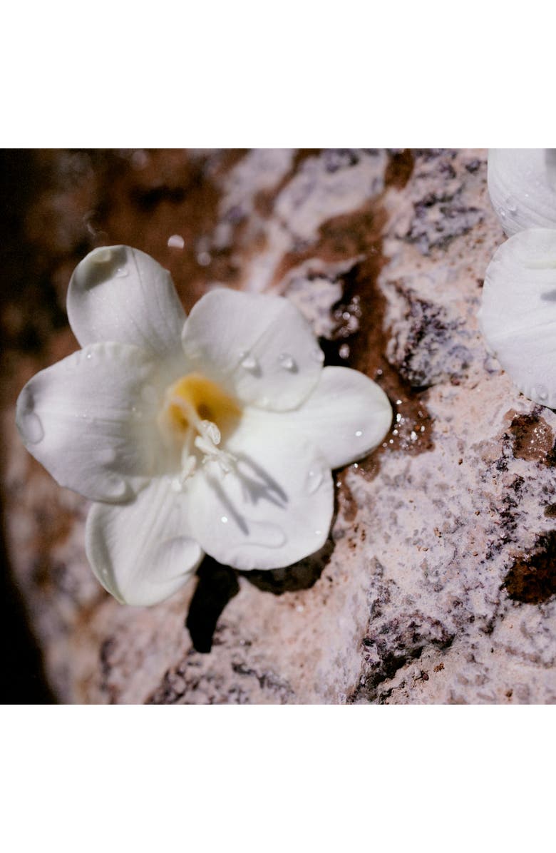 Chloé Nomade Eau de Parfum, Alternate, color,