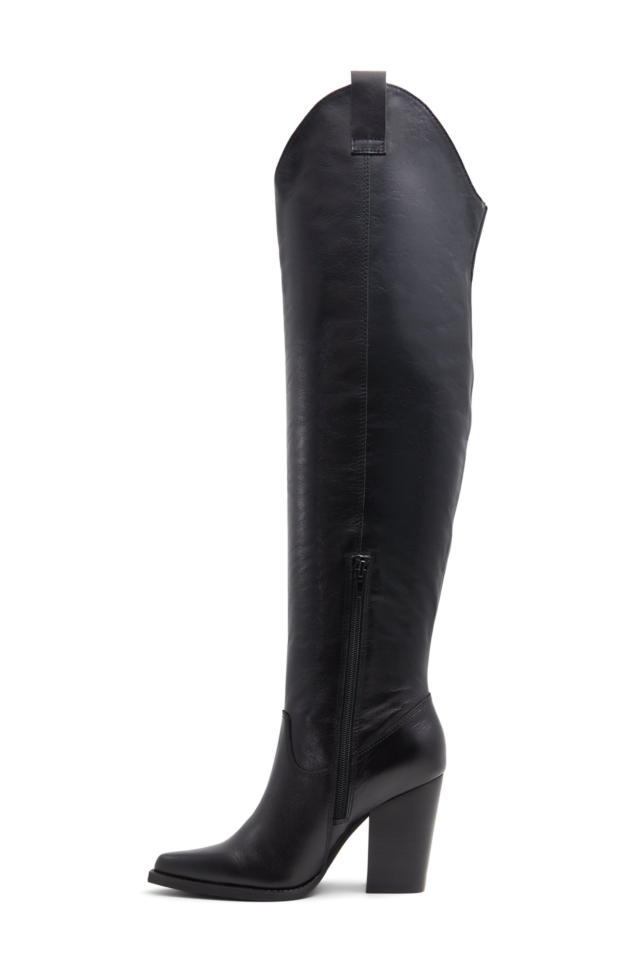 ALDO Beatrine Pointed Toe Over the Knee Boot, Alternate, color, 