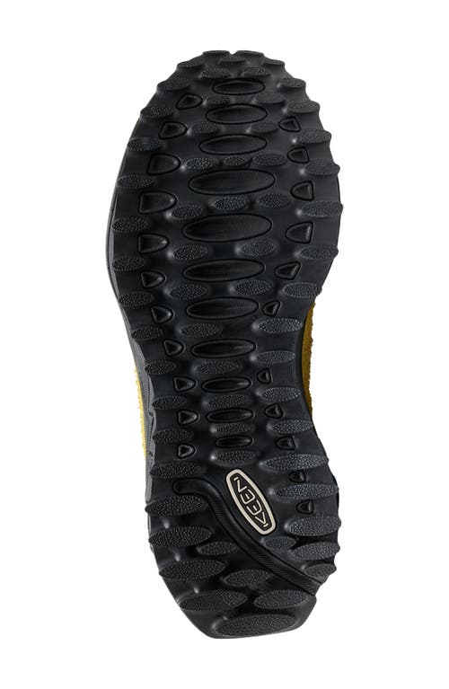Keen Jasper Zionic Hiking Sneaker In Multi