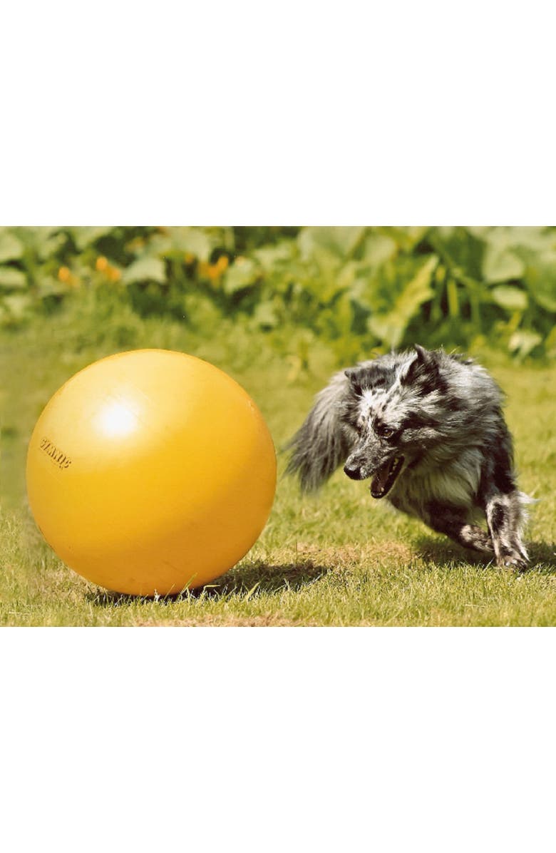 Gymnic Classic Ball  45, Alternate, color, Yellow