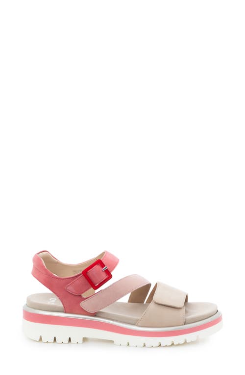 Ara Maldives Sandal In Shelll/piggy Pink/doll Pink
