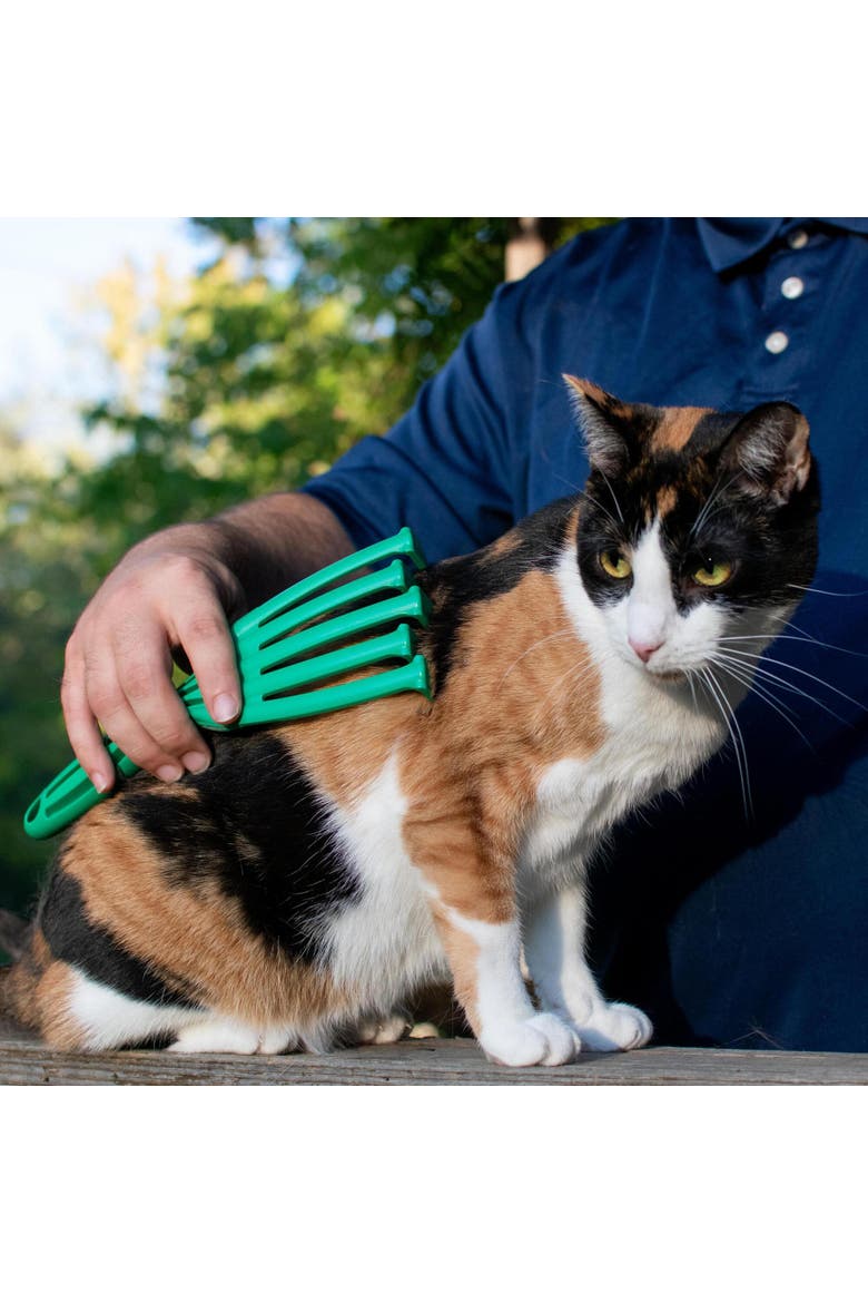Deshedding Tool For Small Cats, Alternate, color, Green