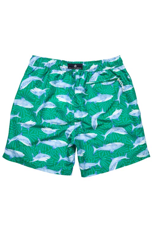 Snapper Rock Printed Swim Shorts In Green