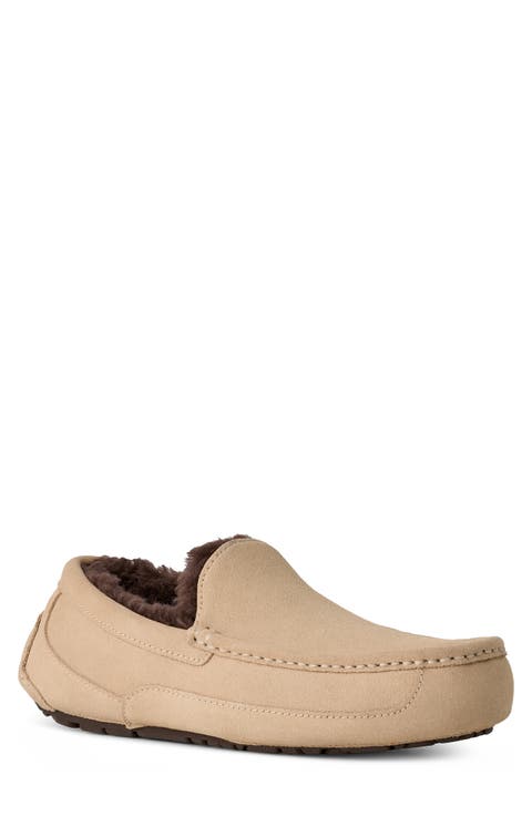 Ascot Loafer Slipper (Men)