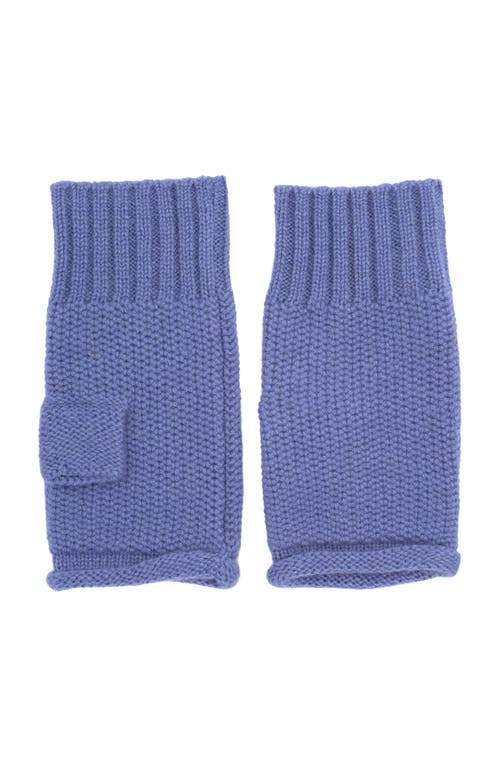 Echo The Crosby Handwarmer In Blue