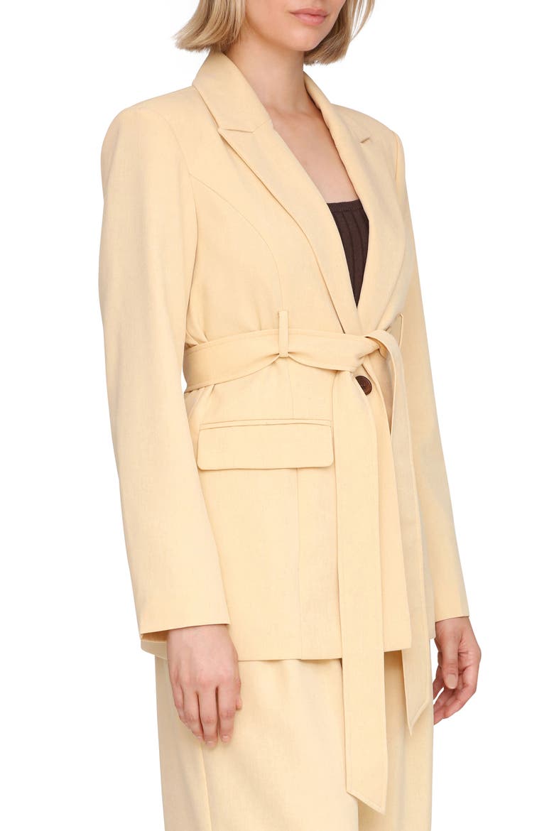 Drapey Long Belted Blazer, Alternate, color, CAMEL