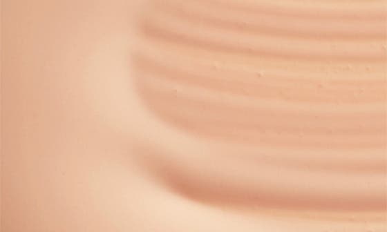 2N1 DESERT BEIGE