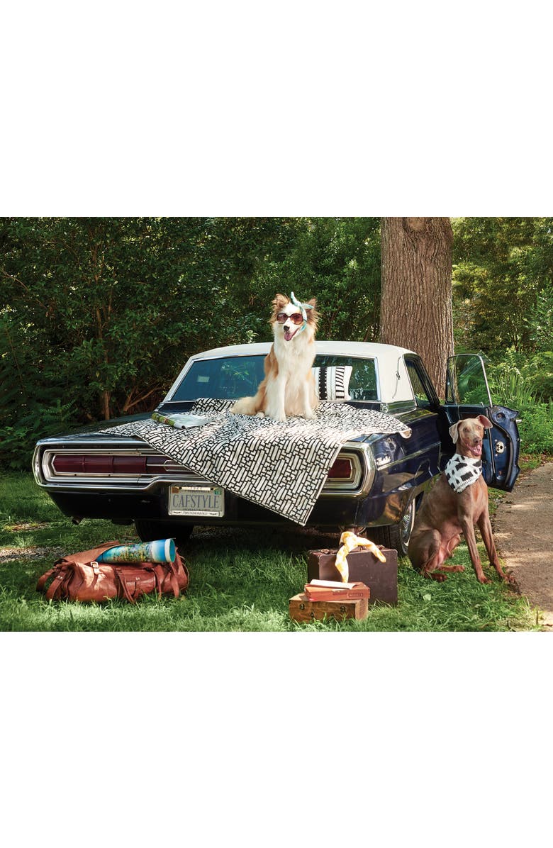 carol & frank Naya Pet Quilt, Alternate, color, Black