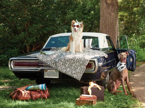 Carol & Frank Naya Pet Quilt In Black